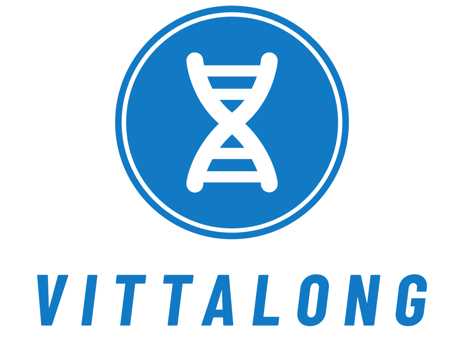 vittalong.com